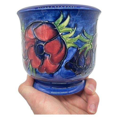 Moorcroft poppy red - *moorcroft*, flower