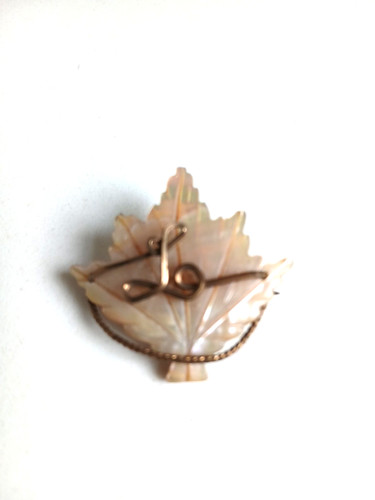 Vintage old mother pearl - old,