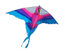 PARROT KITE or WINDSOCK for