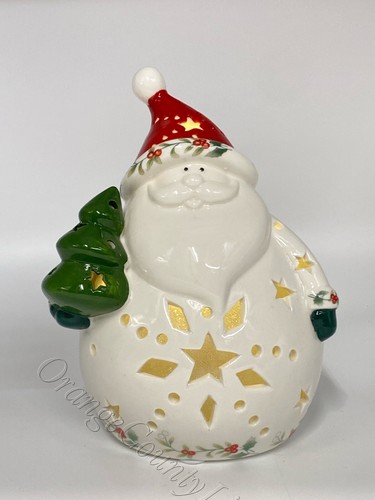 Santa led light - led, winterberry