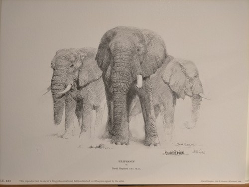 David shepherd elephants - david,