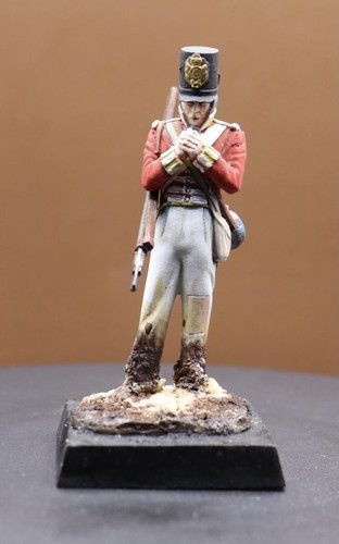 54mm napoleonic peninsular war - napoleonic,
