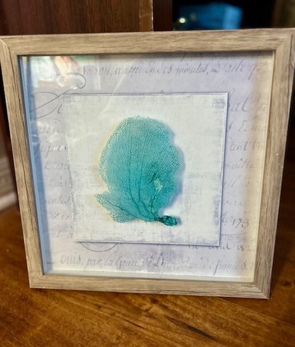 Framed sea fan wall art - fan,