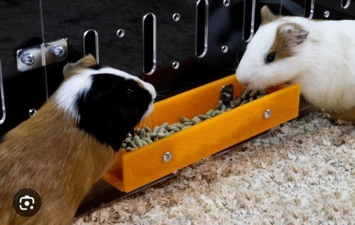 Guinealoft small pet feeder - guinealoft,
