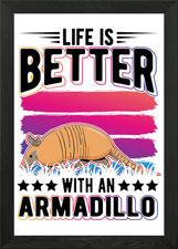 Armadillo Gift Framed Wall Art