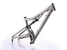 Frame Pivot Bearing Kit |