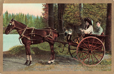 In Their Horse-Drawn Governess
