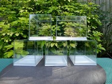 Large Perspex Display Specimen