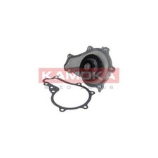 T0081 KAMOKA WATER PUMP FOR