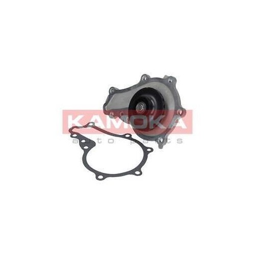 T0081 kamoka water - water, pump