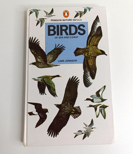 Birds sea and coast - birds, lars