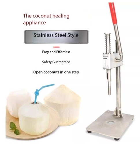 Commercial green coconut - green,