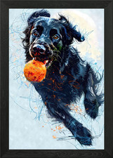 Flat Coated Retriever Ball