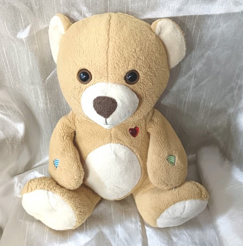 Message recording teddy - message, plush