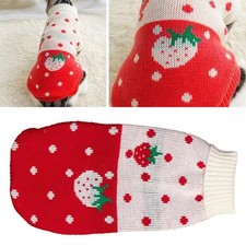 Cat Sweater High Collar 2