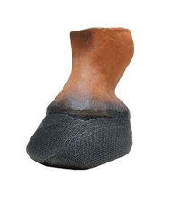 Equus hoofcast temporary - equus,