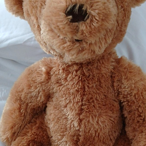 Russ fraser bear 2006 - fraser,