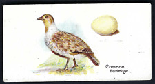LAMBERT & BUTLER - BIRDS AND EGGS - #32 THE COMMON PARTRIDGE