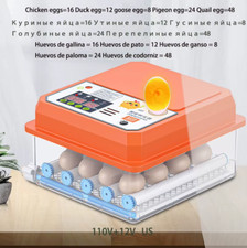 12/16 Double-Electric Computer