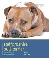 Staffordshire Bull Terrier -