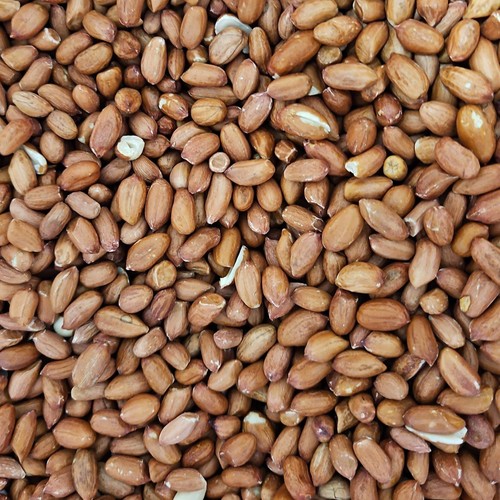 Peanuts for bird food - peanuts, (25kg)