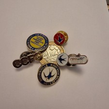 Cardiff City Badges