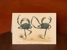 Fantastic Dance - A5 Greeting