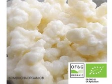 10g Certified by OF&G Organic Live Milk Kefir Grains Pasteurised UK Made