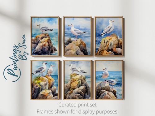 Coastal seagull rock - coastal,