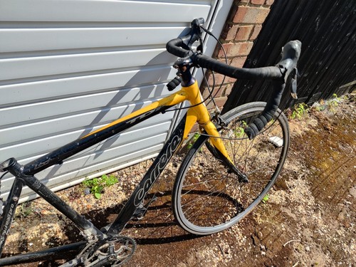 Carrera tdf ltd - ltd, road