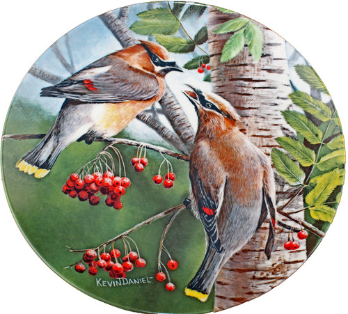 Knowles birds your garden - knowles,