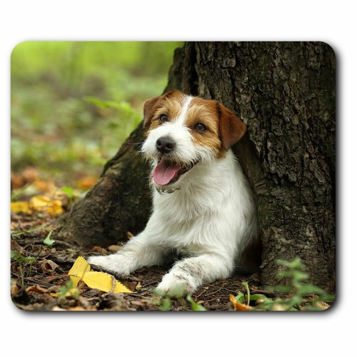 Computer mouse mat jack - mouse,