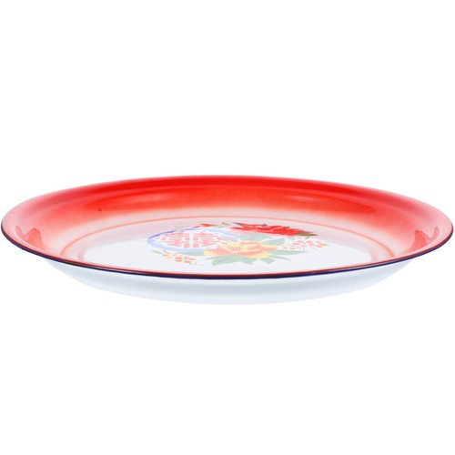 Multicolor enamel food dish - multicolor,