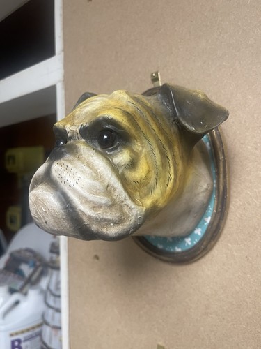 Faux taxidermy animal heads - faux,