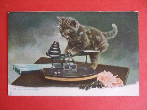 Old raphael tuck cats - cats, comic