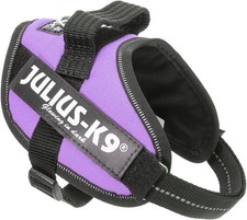 Julius idc powerharness - julius-k9, idc-powerharness