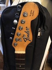 Fender Montana,bowbacked Semi