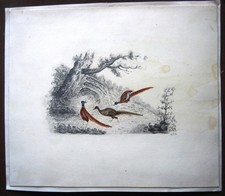 19th CENTURY PENCIL AND