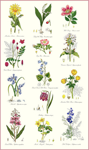 Botanic garden kitchen - botanic,