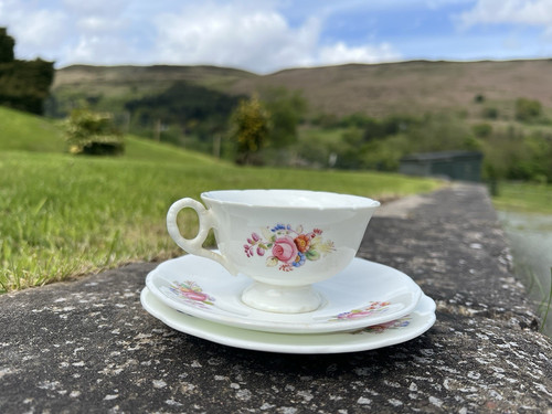 Vintage coalport bone china - vintage,