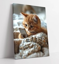 CUTE GINGER KITTEN HOLDING