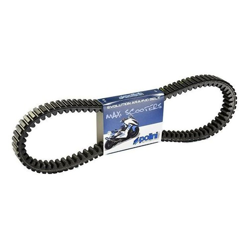 Polini variator belt for - belt,