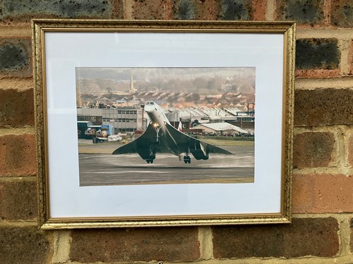 Gorgeous gold framed - gold,