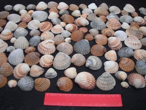 Job lot 120 mixed size - job, of