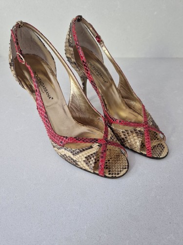 Dolce gabbana shoes snake - gabbana,