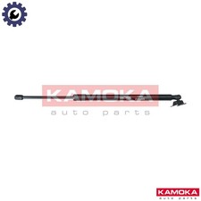 GAS SPRING BOOTCARGO AREA