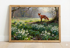 Snowdrop Woodland Fox Spring