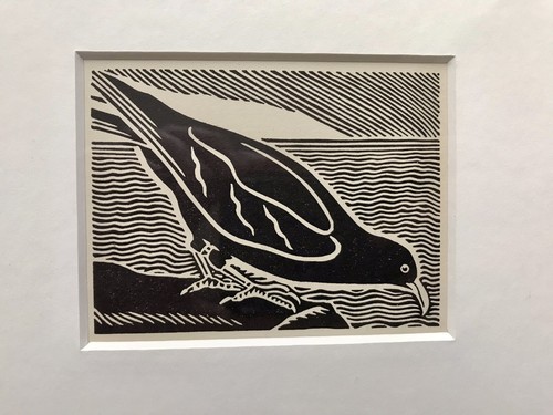 Chough framed woodcut - ‘chough’-,
