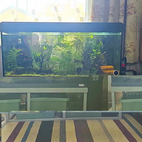 Fluval 200 litre aquarium - fluval,