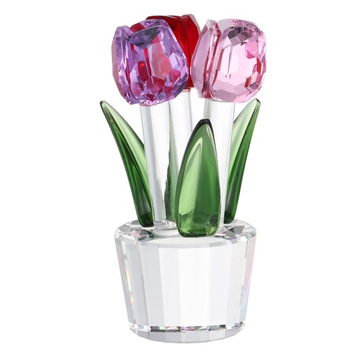 Crystal tulips flower - tulips,